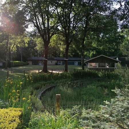 Waldjugendherberge Uelsen Zewnętrze zdjęcie